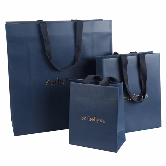 Custom Printed Jewelry Shopping Paper Gift Bag Luxury Gift Paper Bag with Logo Bronzing