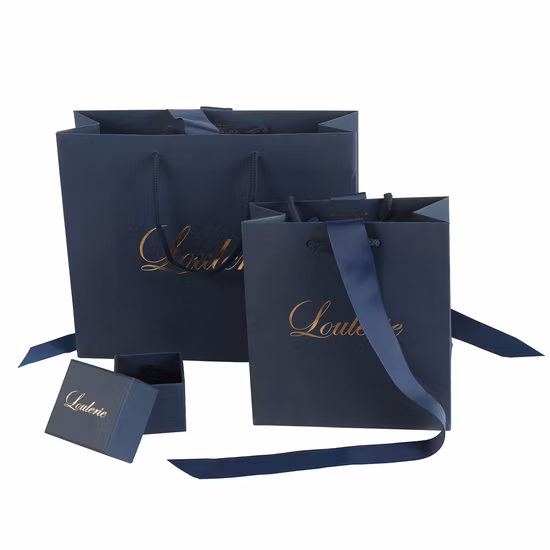 Custom Printed Jewelry Shopping Paper Gift Bag Luxury Gift Paper Bag with Logo Bronzing