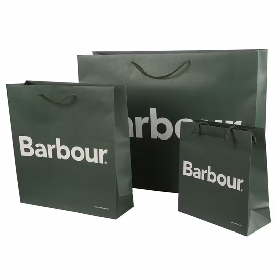 Bijoux imprimés personnalisés Sac cadeau en papier cadeau Sac en papier cadeau de luxe avec logo bronzant