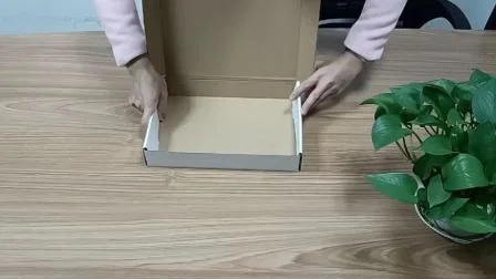 Boîte d'expédition en carton ondulé unique imprimée sur mesure en gros